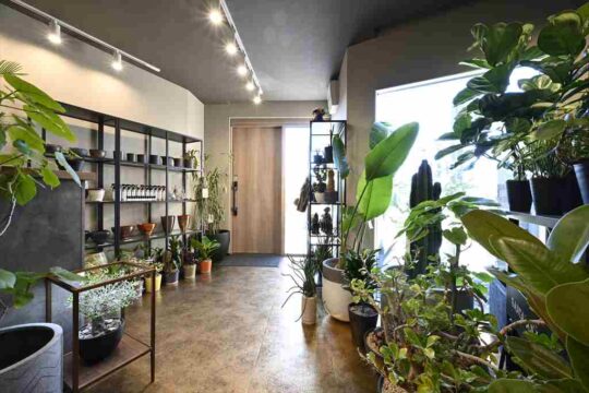 【SANTA ANA GARDEN  STORY Vol.5】 住まいと植物の関係を深めて 彩りあふれる暮らしを実現