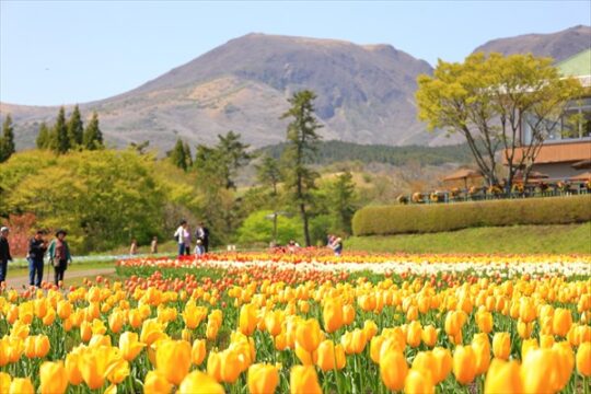 この春は、華やかでスイートな大分へ！[大分県県南エリア～３～]