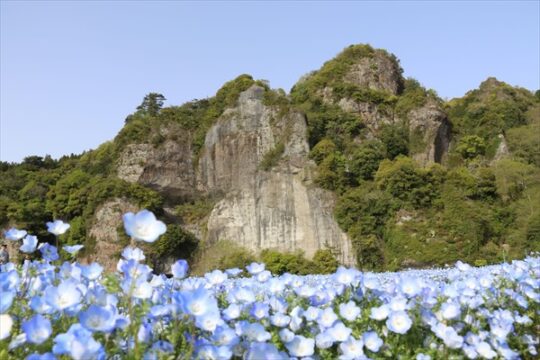 この春は、華やかでスイートな大分へ！[大分県県北エリア～３～]