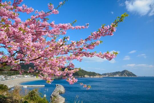 この春は、華やかでスイートな大分へ！[大分県県南エリア～１～]