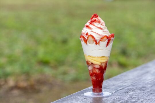 ベリーツひと筋！自社農園で実る自然な甘さを添えて『苺の丘 farm and cafe』【第二回 大分おもてなし料理選手権】