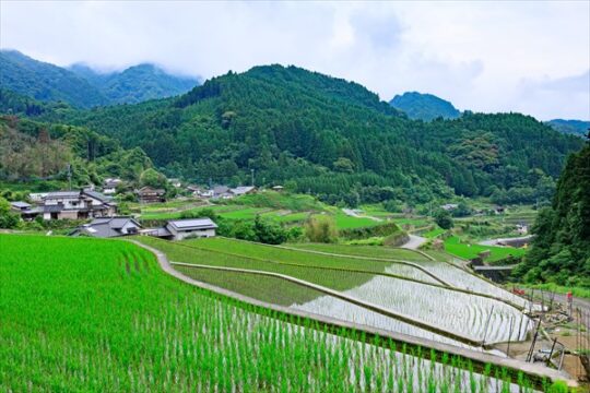 【my route／添田町・東峰村・日田市編】日本の棚田百選に認定！美しい原風景に癒される美観スポット『竹地区の棚田』