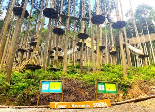 【my route／添田町・東峰村・日田市編】廃線跡地に広がる自然のアクティビティで森遊びを楽しむ『フォレストアドベンチャー』