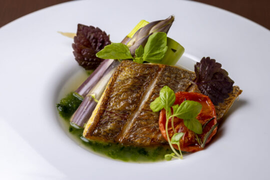 【ふくおかの魚フェア】和の要素を加えたソースが マダイの味を引き立てます【Bistro Ohshima】