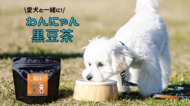 【太宰府焙煎堂】わんにゃん黒豆茶
