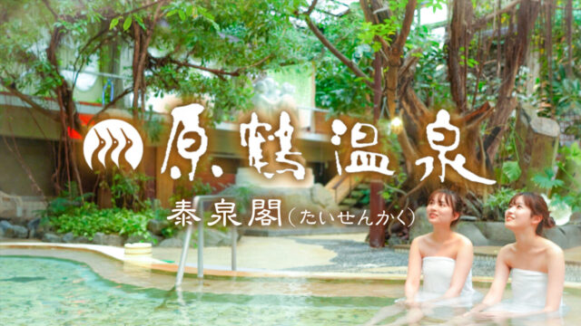 『泰泉閣』のPR動画が完成しました！心と体を癒せる場所をあなたに✿