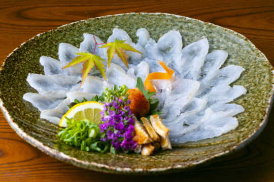 【ふくおかの魚フェア】厳選した新鮮アナゴを刺身でどうぞ【とんこや 宗像店】