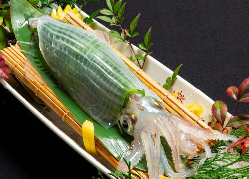 【HAKATA FISH PROJECT】旨みを引き出す隠し包丁「博多 魚蔵」