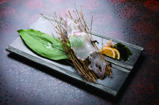 【ふくおかの魚フェア】老舗の寿司割烹で食すケンサキイカの活き造り【寿司・割烹・歌幸】