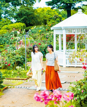 リンクイット　Vol.4　SUMMER STYLE LINK IT in Fukuoka Botanical Garden
