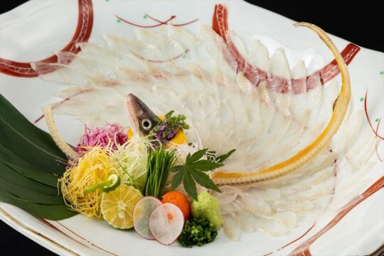 【博多×アナゴフェア】～コリコリの食感のアナゴは まず塩で味わうのがおすすめ～『九州の酒と肴　博多 又』