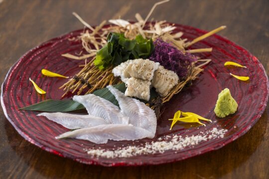 【博多×アナゴフェア】～薫香まとう藁焼きVS持ち味勝負の刺身！～『肴と一献　魚びたり』