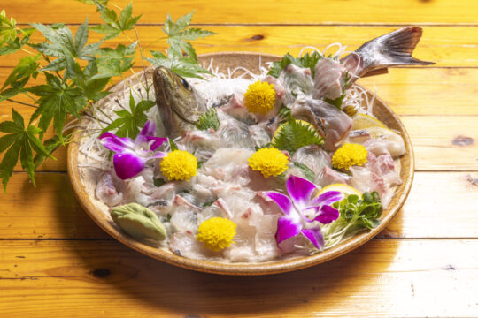 【ふくおかの魚フェア】脂ののった大ぶりの<br>イサキをさばき立ての活き造りでどうぞ<br>【炉ばた焼 酔々亭】