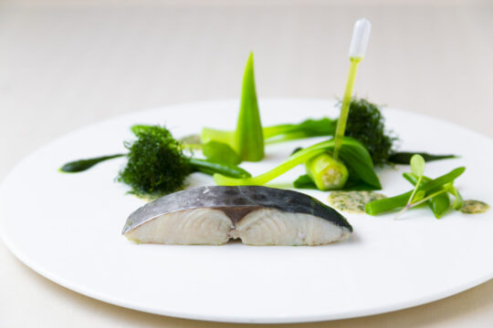 【ふくおかの魚フェア】低温調理で旨味を閉じ込め大葉の風味をまとったサワラを味わう【フランス料理 ミルエルブ】