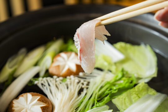 【博多×タイフェア】<br>箸が進む粋な味 天然マダイをしゃぶしゃぶで『まつ永水産』