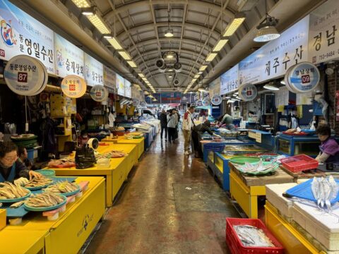 【PR】済州(チェジュ)島ツアー③チェジュの伝統や歴史を学ぶ