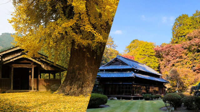 【FUKUOKA、真ん中旅。】～飯塚市 紅葉スポット～