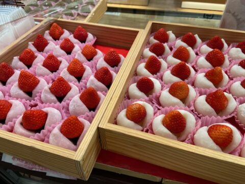 【糸島だんご本舗】季節限定！糸島産あまおうのいちご大福