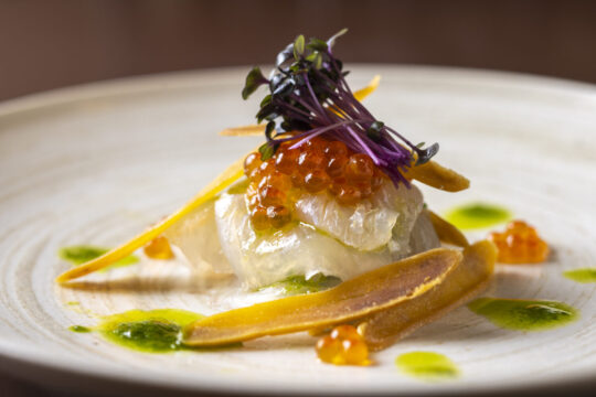 【博多×ひらめフェア】～寒びらめの旨味を<br>引き出す色鮮やかなネギソース～<br>『Bistro Ohshima』