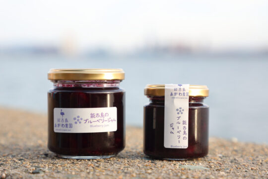 【ふくおかさん家のうまかもん】何度でも食べたくなる大きくて芳醇なブルーベリー～Produce of Fukuoka City～