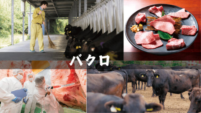 【美味本2025】自慢の黒毛和牛を自分たちの手で届ける｜バクロ
