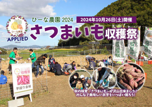 🥬ひーな農園だより🥬さつまいもの収穫祭2024 開催レポート ～さつまいも堀り～