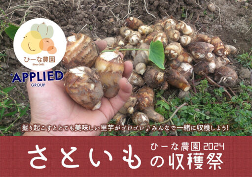 🥬ひーな農園だより🥬さといもの収穫祭2024 開催レポート ～みんなで収穫～