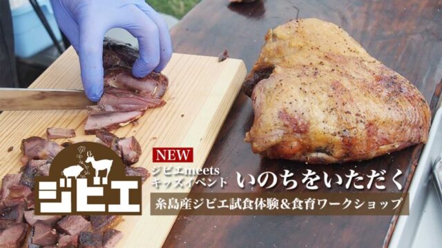 🥬ひーな農園だより🥬さつまいもの収穫祭2024 開催レポート  ～ジビエ試食体験～