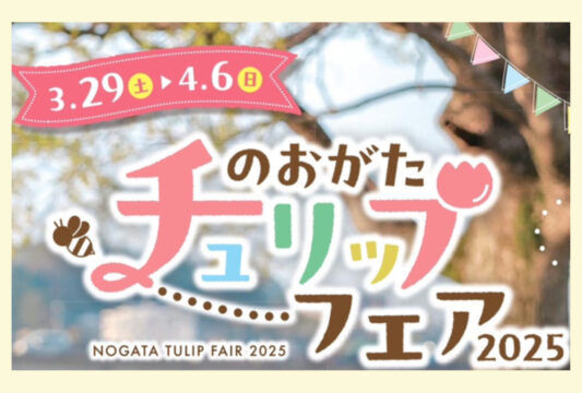 【イベント】15万本のチューリップが咲き誇る 🌷 ✨のおがたチューリップフェア2025 ✨