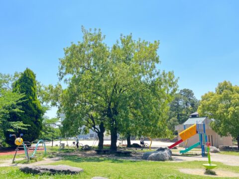 【福岡おでかけ】博多区山王 | 集まれ！健康オタク！『山王公園』