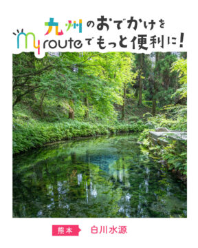 【鉄道・バスで行く熊本観光🚌🚃】まるで映画の風景！？名水百選👑白川水源