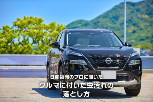 【日産福岡販売株式会社】日産福岡のプロに聞いた、クルマに付いた虫汚れの落とし方