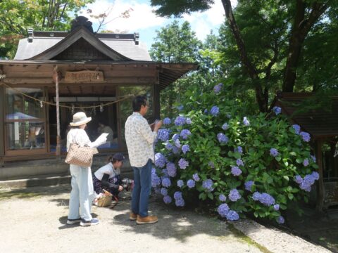 【イベント情報】大分県玖珠郡九重町第4回 宝八幡宮あじさいまつり開催！｜7月5日（土）