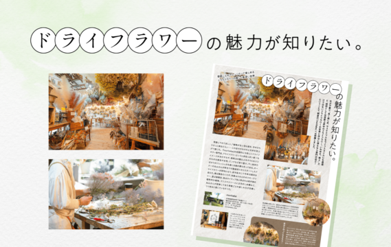 【花とグリーン】ドライフラワーの魅力が知りたい。