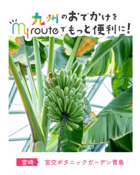 【電車で行く宮崎観光🚃】トロピカルな雰囲気が味わえる🌴宮交ボタニックガーデン青島