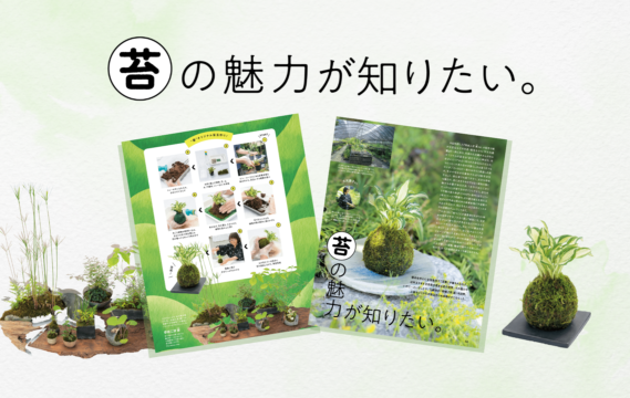 【花とグリーン】苔の魅力が知りたい。