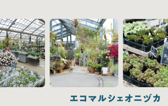 【園芸のテーマパーク】店内入口では綺麗な花壇がお出迎え 園芸の枠を超えたエンターテインメント型ショップ　 エコマルシェオニヅカ