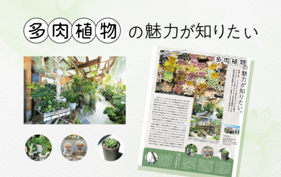 【花とグリーン】多肉植物の魅力が知りたい。