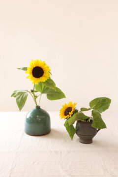 とわの花便りvol.1　夏の始まりを「ひまわり」で彩る