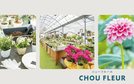【園芸のテーマパーク】シックな寄せ植えがその場でつくれる！ 福津の田園に佇む園芸のセレクトショップ　 CHOU FLEUR(シューフルール)