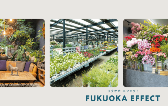【園芸のテーマパーク】緑あふれるライフスタイルを提案する 滞在型のガーデンセンター FUKUOKA EFFECT(フクオカエフェクト)