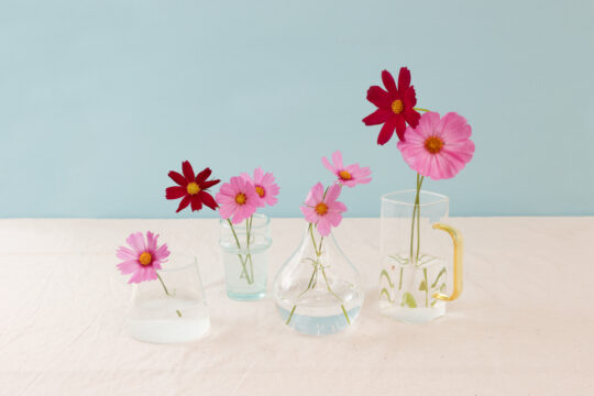 とわの花便りvol.2　花と器。 「涼」を感じる一輪挿しのすすめ