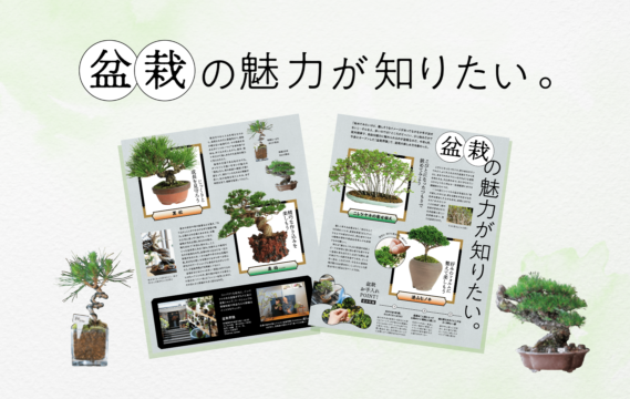 【花とグリーン】盆栽の魅力が知りたい。