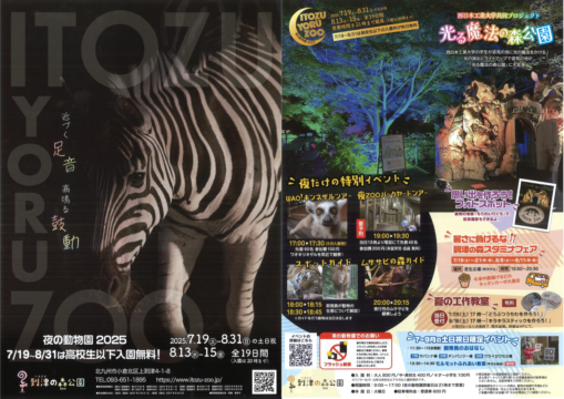 【北九州】今年もやって来る夏の風物詩！ ライトアップされた夜の動物園で思い出を作ろう。