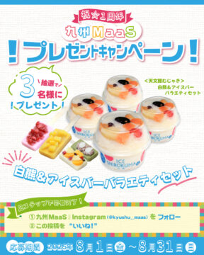 【九州MaaS】白熊＆アイスバーバラエティセットを3名様にプレゼント！