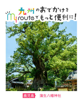 【バスで行く鹿児島観光🚌】日本一の巨樹「大クス」を見よう！蒲生八幡神社