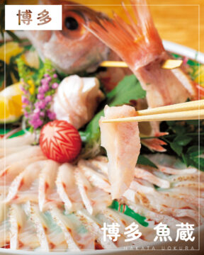 【美味本2025】福岡「博多魚蔵」極上の魚介を中心に和食の技で最高のおもてなし
