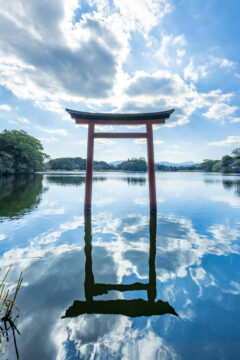 九州をめぐり、ふるさと納税で味わう逸品『大分県中津市』~part.1~⛩️🏯