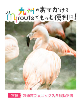 【バスで行く宮崎観光🚌】動物園と遊園地で南国を遊びつくす🌴✨