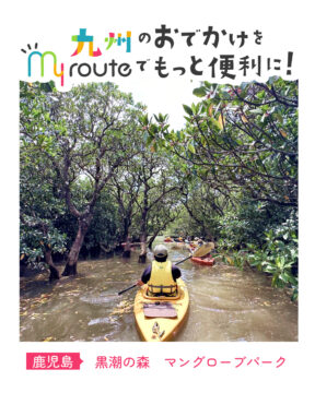 【フェリーで行く鹿児島観光🚢】亜熱帯の自然体験🌳黒潮の森マングローブパーク